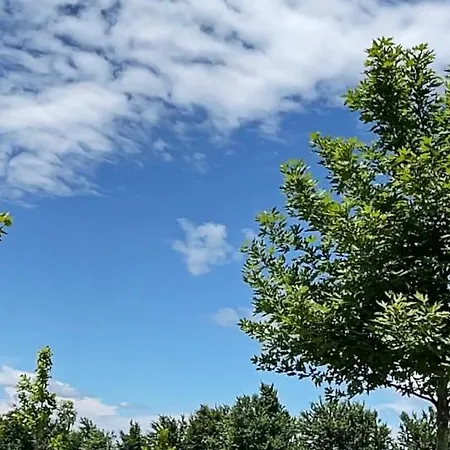 Sunny Holiday