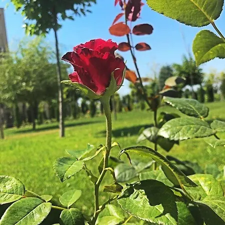 студиа Sunny Holiday Fort Noks Apartmán *